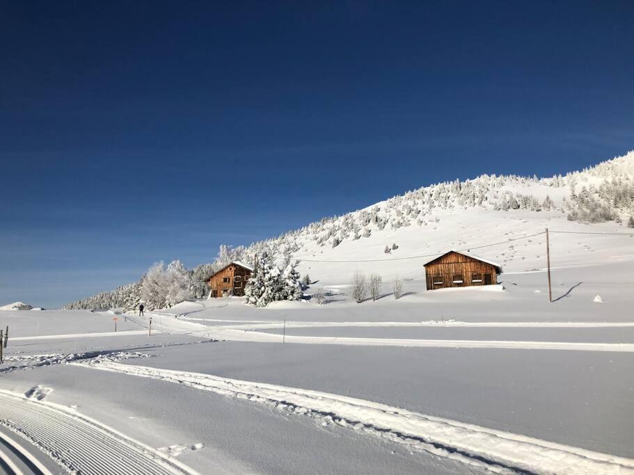Appartement Au Pays Du Mont-Blanc Sallanches Exterior photo